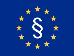 Chancen und Risiken der neuen Unternehmensform "EU Inc."