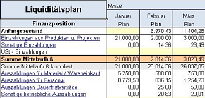 Liquiditätsplanung XL.png