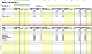 Budget-Auswertung
